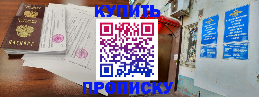 регистрация в Мурманске